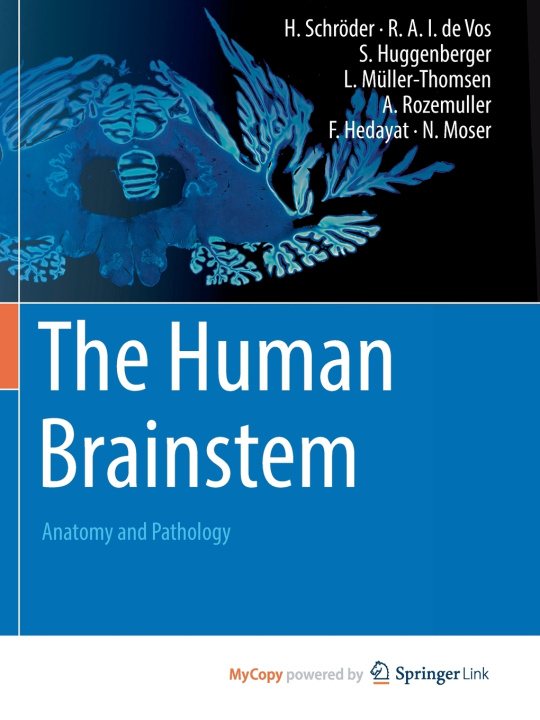 Knjiga The Human Brainstem Hannsjörg Schröder