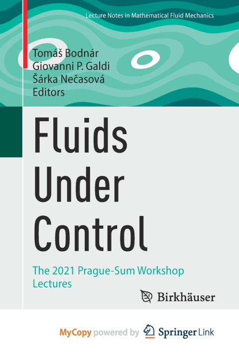 Книга Fluids Under Control Tomáš Bodnár