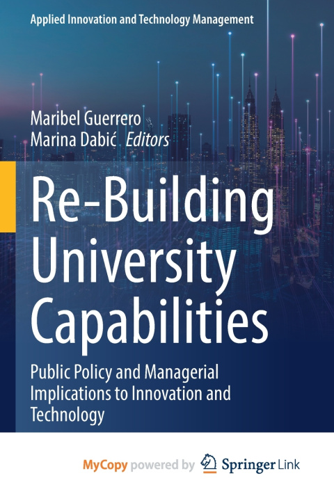 Kniha Re-Building University Capabilities Maribel Guerrero
