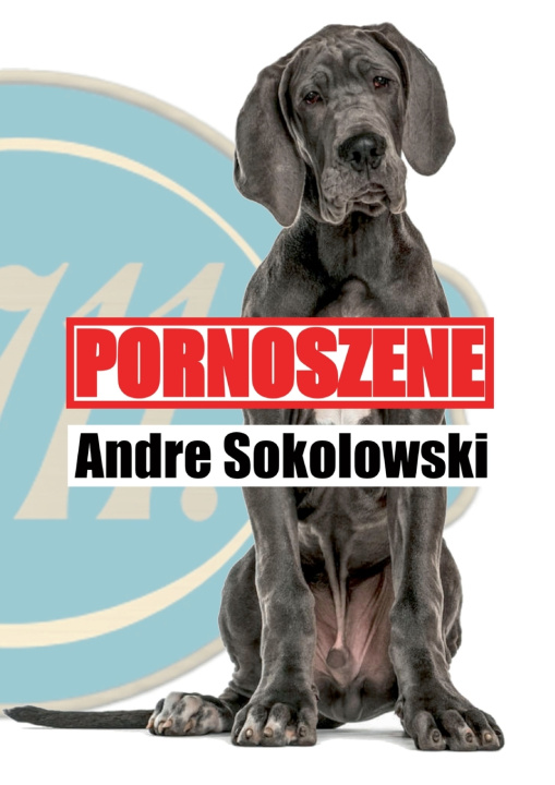 Buch Pornoszene Andre Sokolowski