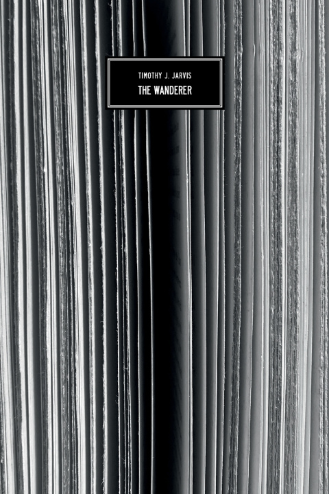Kniha The Wanderer Timothy J. Jarvis