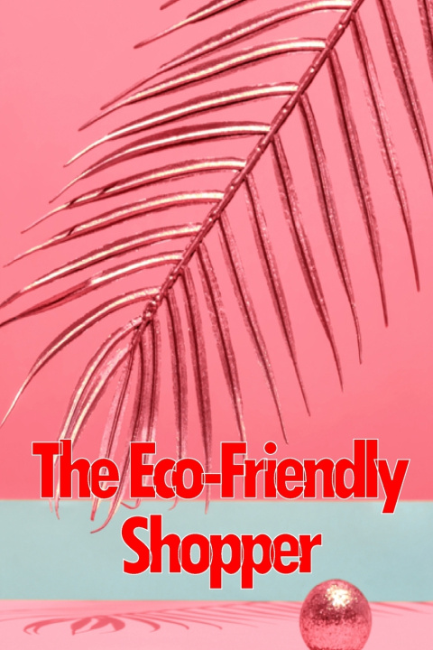Książka The Eco-Friendly Shopper Zyna Maryland