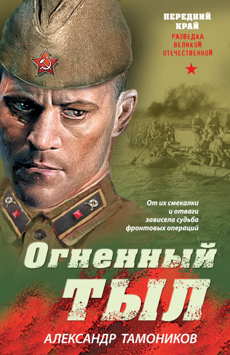 Knjiga Огненный тыл Александр Тамоников