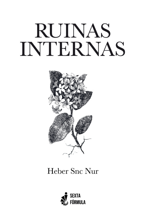 Kniha Ruinas Internas Heber Snc Nur
