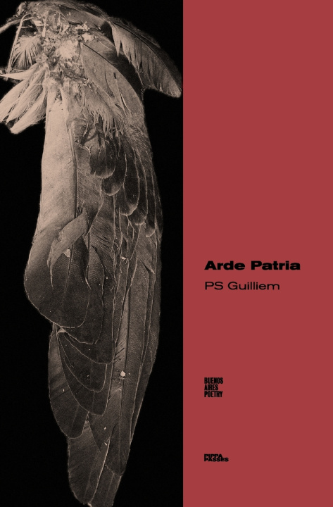 Книга Arde Patria PS Guilliem