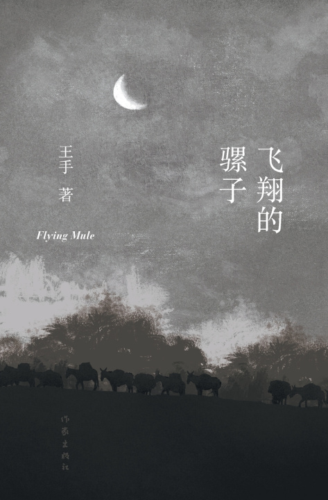 Kniha 飞翔的骡子 Flying Mule 王手