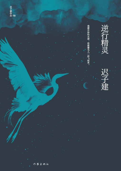 Книга 逆行精灵 Retrograde Elves 迟子建