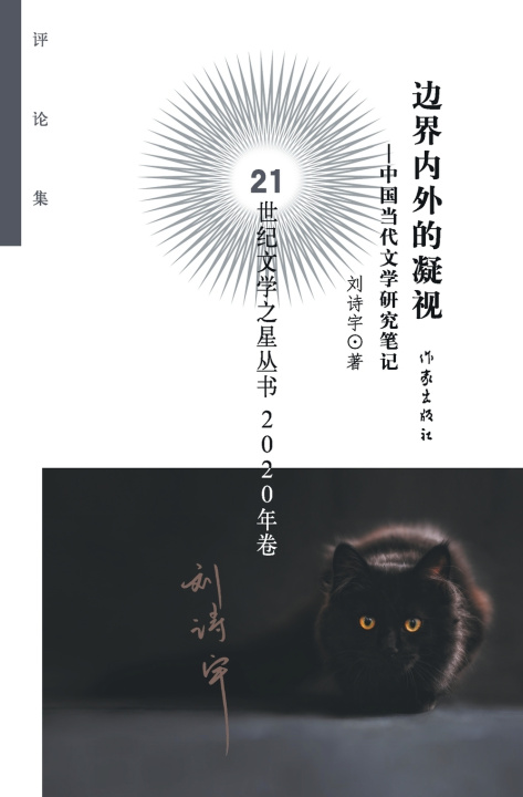 Книга 边界内外的凝视 Gaze Inside And Outside The Boundary 刘诗宇