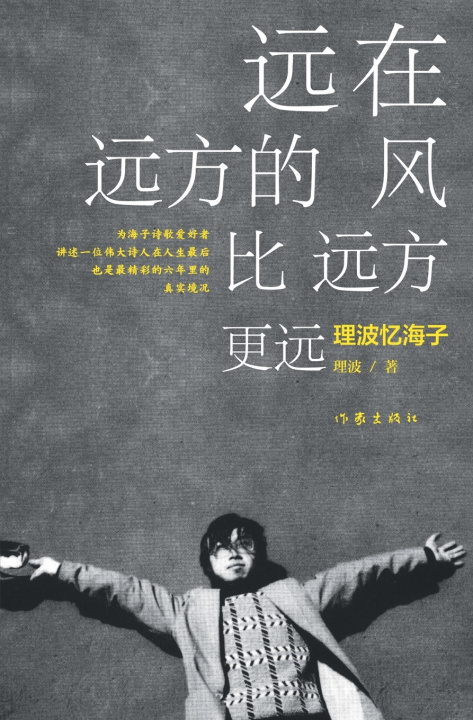 Книга 远在远方的风比远方更远 理波