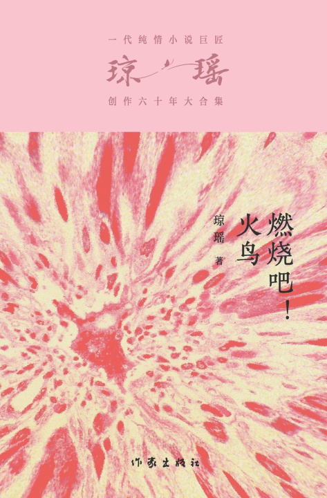 Книга 燃烧吧，火鸟 Burn Phoenix Burn 琼瑶