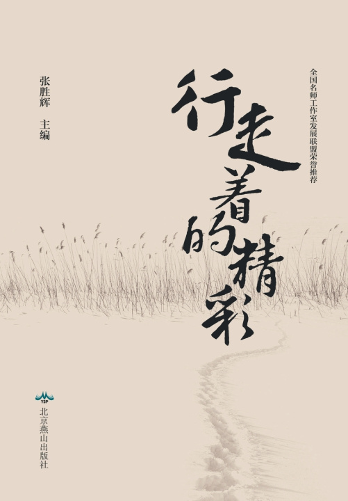 Kniha 行走着的精彩 张胜辉