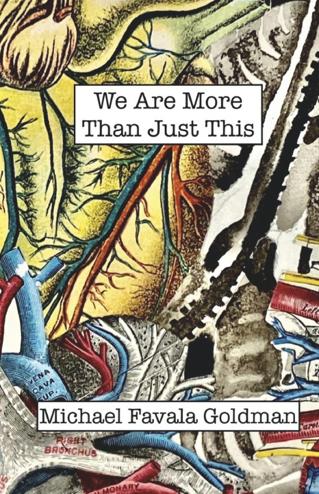 Knjiga We Are More Than Just This Michael Favala Goldman