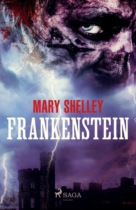 Kniha Frankenstein Mary Shelley