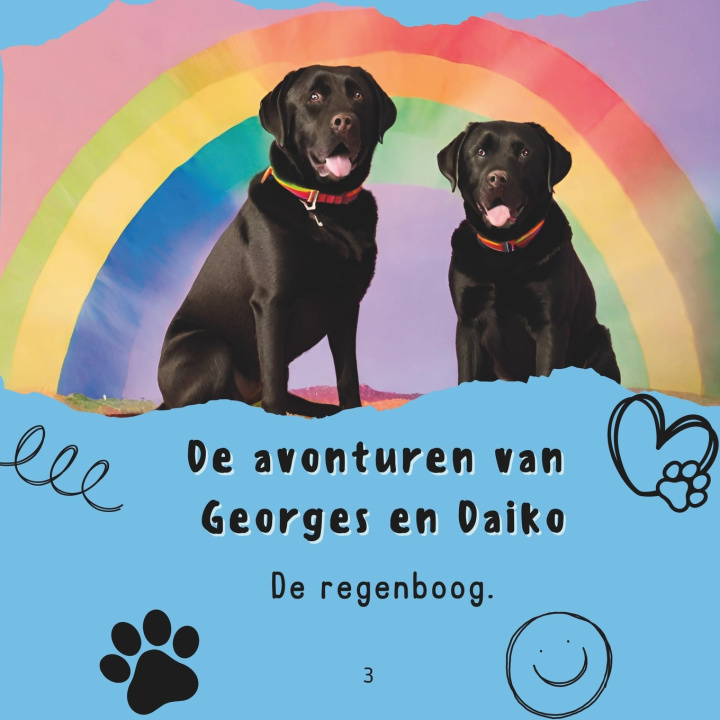 Kniha De regenboog. Eva Books