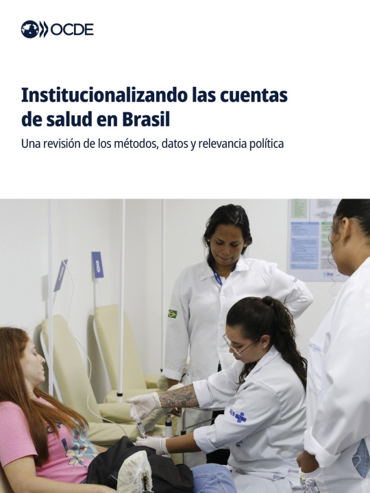 Kniha Institucionalizando las cuentas de salud en Brasil OECD