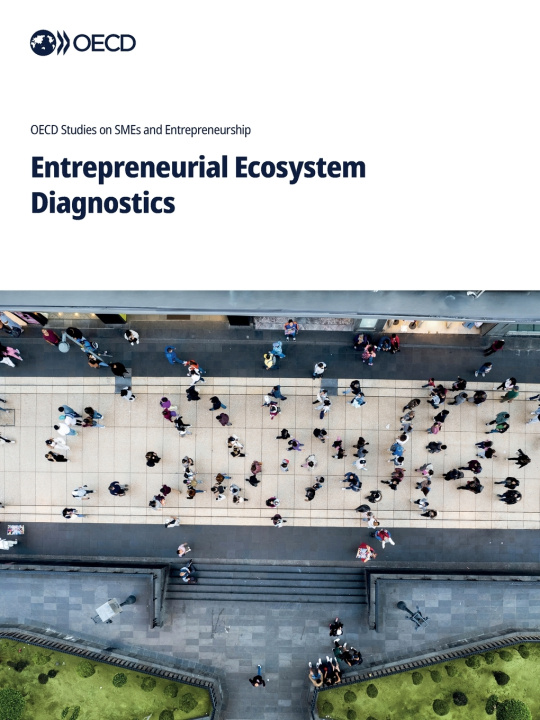 Kniha Entrepreneurial Ecosystem Diagnostics OECD