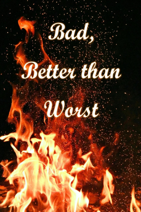 Kniha Bad, Better than Worst. Sulaksha K