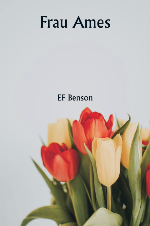 Knjiga Frau Ames EF Benson