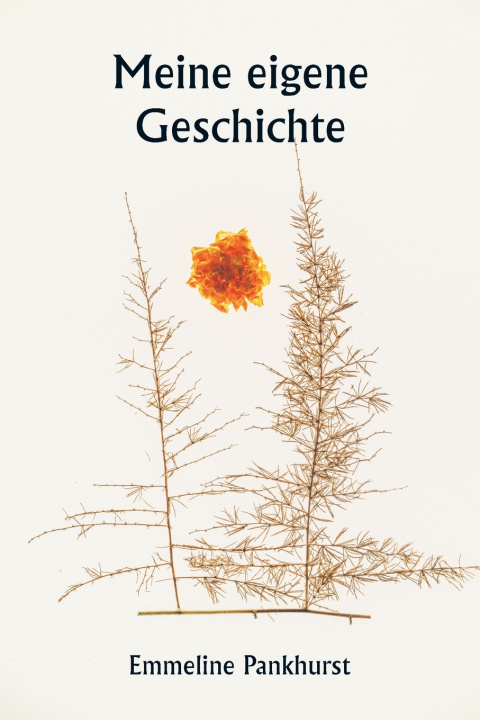 Kniha Meine eigene Geschichte Emmeline Pankhurst