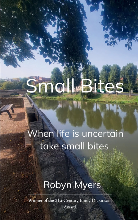 Kniha Small Bites When life is uncertain, take small bites Robyn Myers