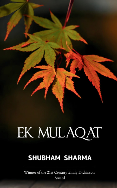 Kniha Ek Mulaqat Shubham Sharma