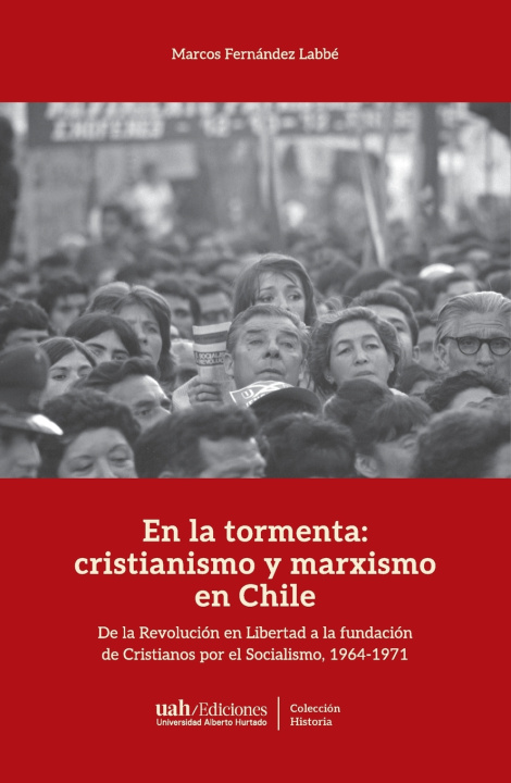 Kniha En la tormenta Marcos Fernández Labbé