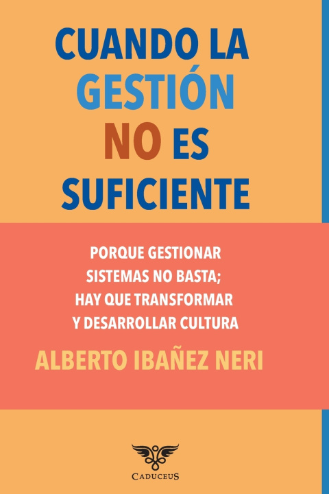Βιβλίο Cuando la gestión no es suficiente Alberto Ibañez Neri
