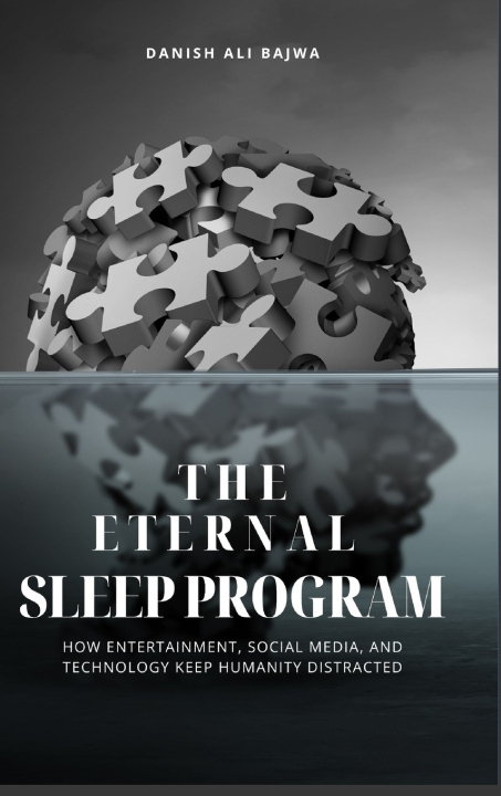 Kniha The Eternal Sleep Program Danish Ali Bajwa