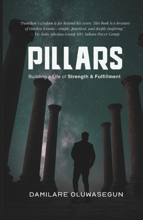 Kniha PILLARS DAMILARE OLUWASEGUN