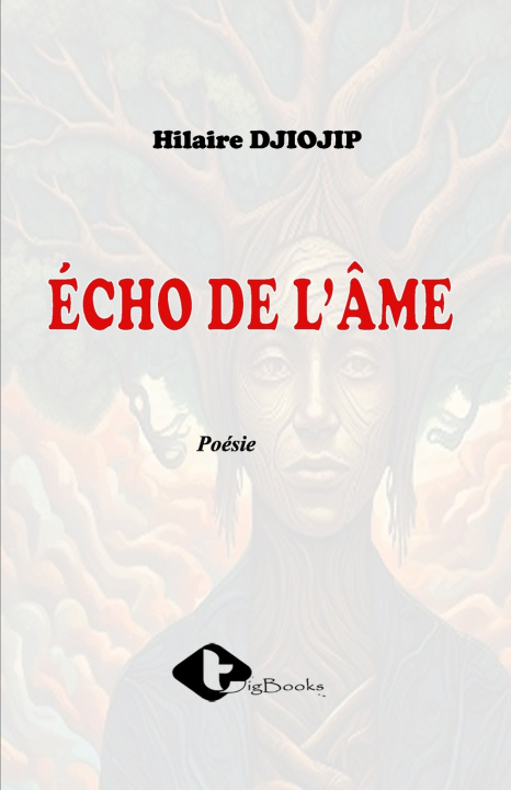 Kniha Echo de l'âme Hilaire DJIOJIP