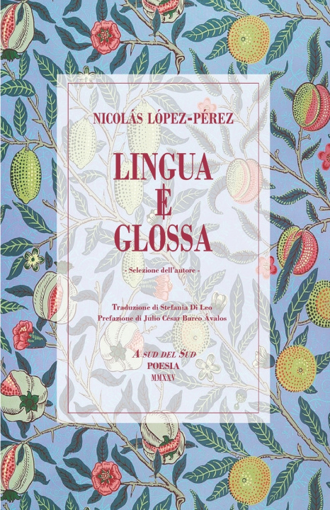 Kniha Lingua e glossa Nicolás López-Pérez