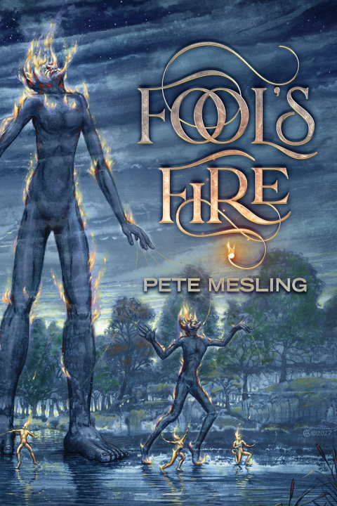 Kniha Fool's Fire Pete Mesling