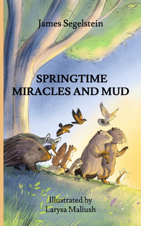 Kniha Springtime Miracles and Mud James Segelstein