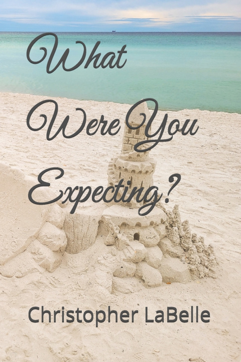 Kniha What Were You Expecting? Christopher LaBelle