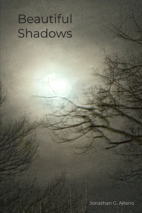Kniha Beautiful Shadows Jonathan Gioele Alterio