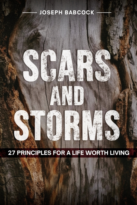Book Scars and Storms Joseph Babcock