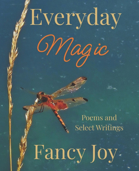 Kniha Everyday Magic Fancy Joy