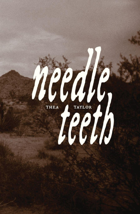 Kniha needle teeth Thea Taylor