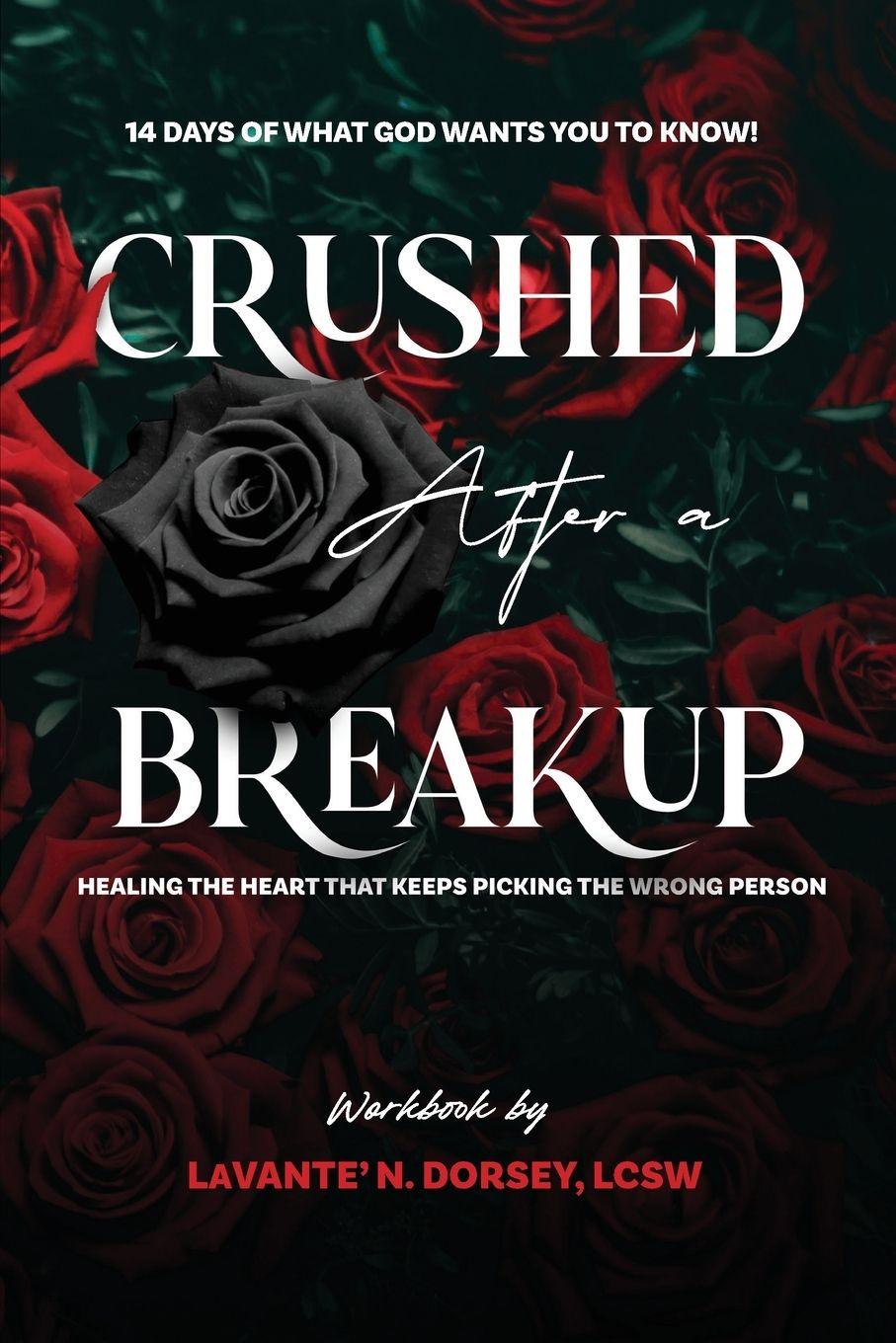 Kniha Crushed After a Breakup LaVante' N Dorsey