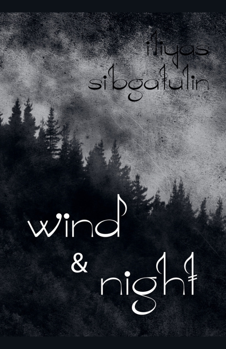 Kniha Wind & Night ILIYAS SIBGATULIN