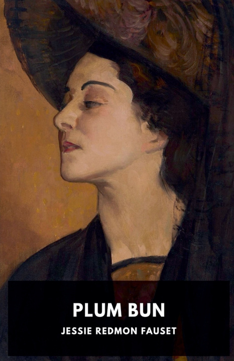 Libro Plum Bun Jessie Redmon Fauset