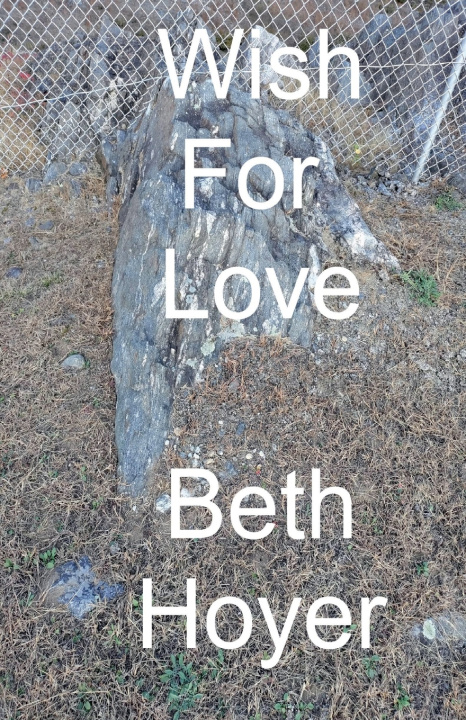 Boek Wish For Love Beth Hoyer