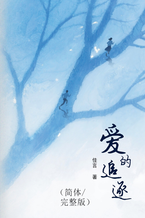 Buch 爱的追逐（简体/完整版） 佳言