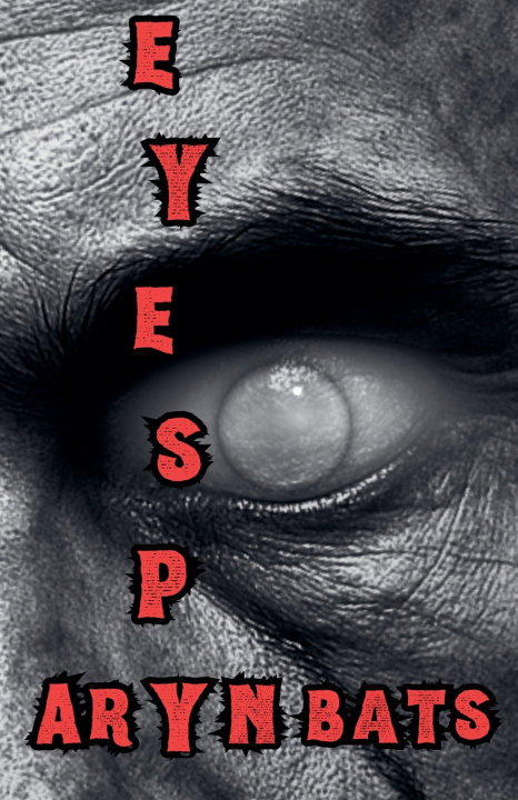 Kniha Eye Spy Aryn Bats