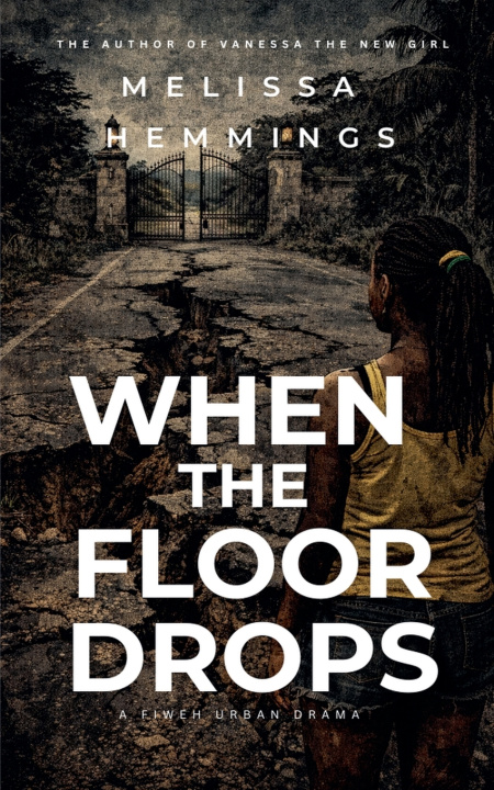 Kniha When The Floor Drops Melissa Hemmings