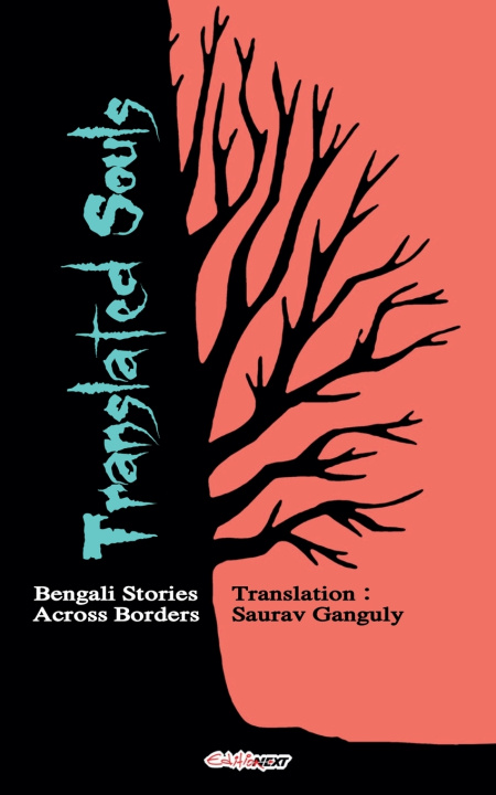 Kniha Translated Souls Saurav Ganguly