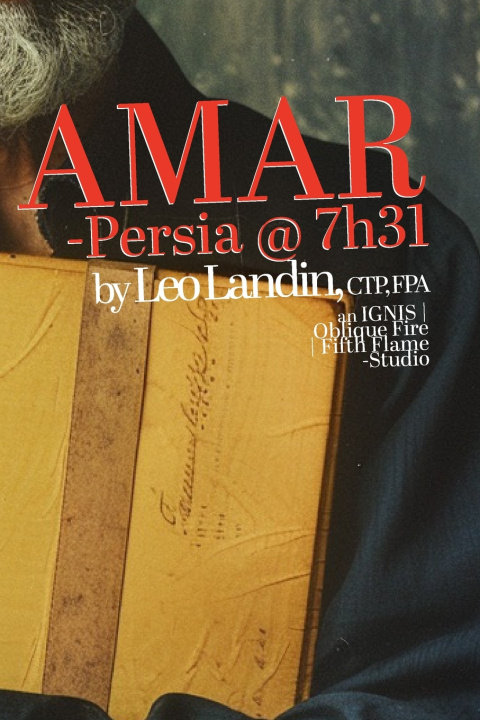 Kniha AMAR Leo Landin