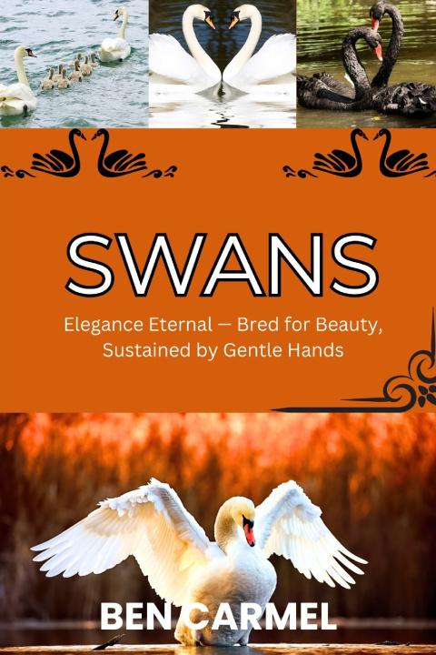 Kniha SWANS BEN CARMEL