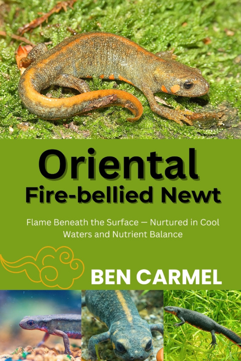 Livro ORIENTAL FIRE-BELLIED NEWT BEN CARMEL