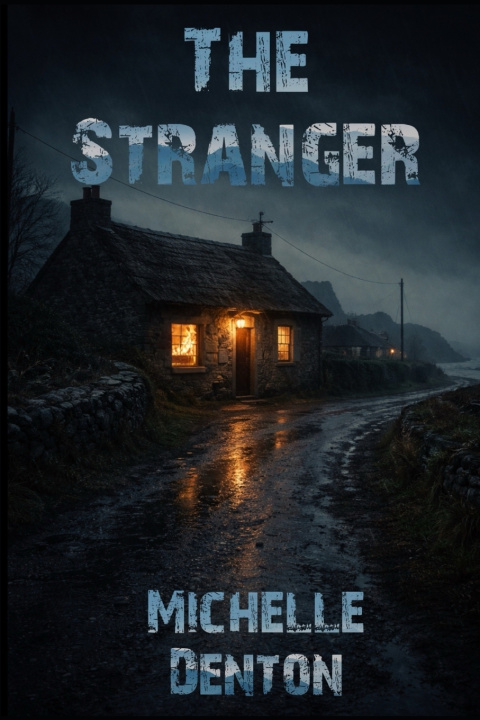 Kniha The Stranger Michelle Denton